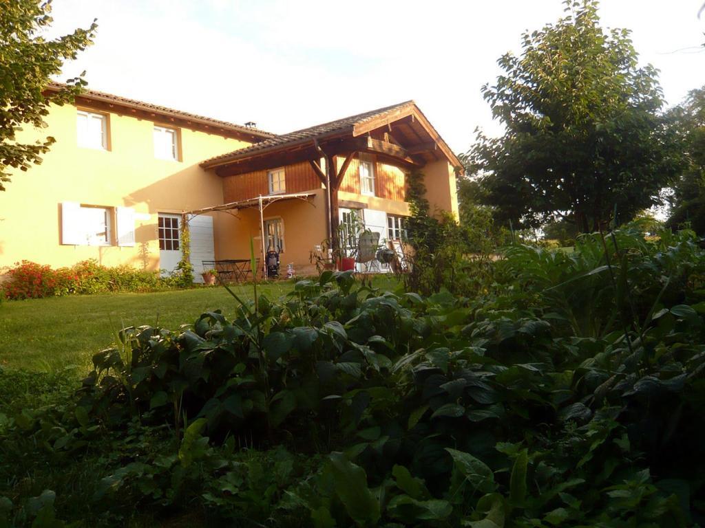 Bed & Breakfast - Maison De Marie Messimy-sur-Saone Exterior foto