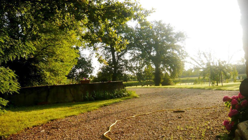 Bed & Breakfast - Maison De Marie Messimy-sur-Saone Exterior foto